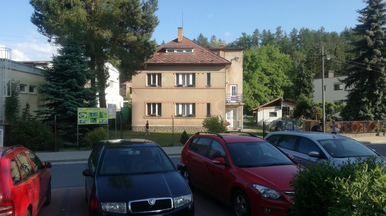 Vila Sazava מראה חיצוני תמונה